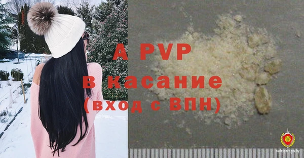 spice Белокуриха